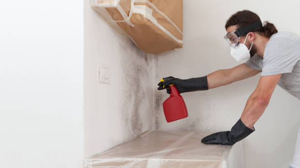 Professional Crawl Space Mold Remediation technician working in Coopersville, MI