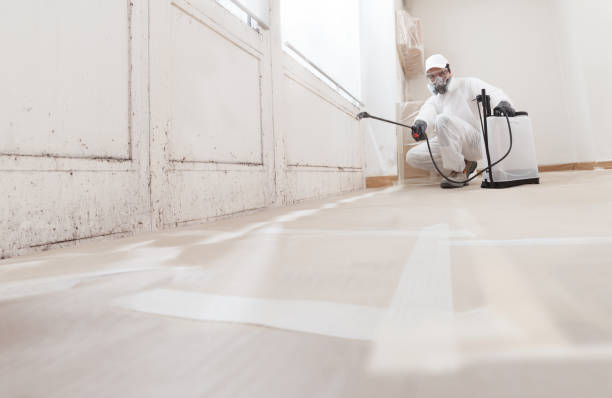 24/7 Emergency Crawl Space Mold Remediation experts in Coopersville, MI